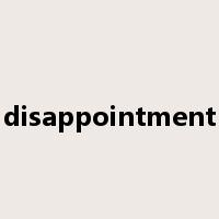 disappointment是什么意思