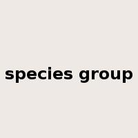 species group是什么意思