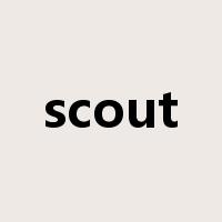 scout是什么意思