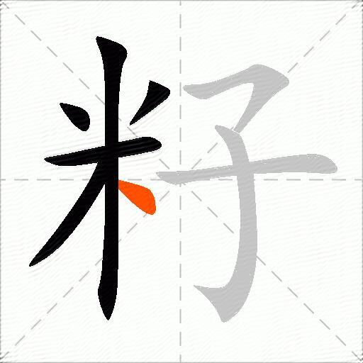 籽字的意思解释