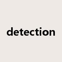 detection是什么意思