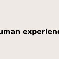 human experience是什么意思