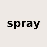 spray是什么意思