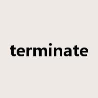 terminate是什么意思