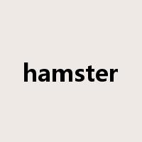 hamster是什么意思