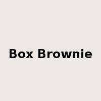 Box Brownie是什么意思