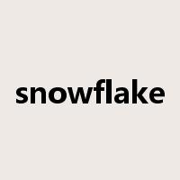 snowflake是什么意思