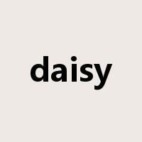 daisy是什么意思