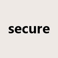 secure是什么意思