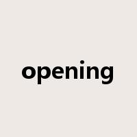 opening是什么意思