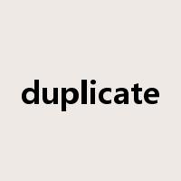 duplicate是什么意思