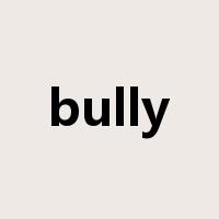 bully是什么意思