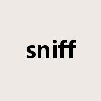 sniff是什么意思