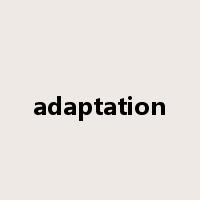 adaptation是什么意思