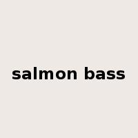 salmon bass是什么意思