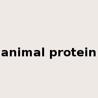 animal protein是什么意思