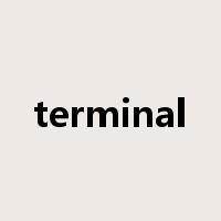 terminal是什么意思