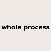 whole process是什么意思