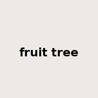 fruit tree是什么意思