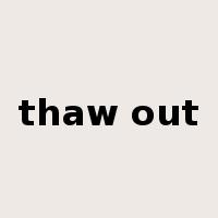 thaw out是什么意思