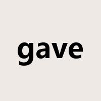 gave是什么意思