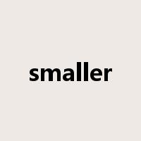 smaller是什么意思