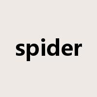 spider是什么意思