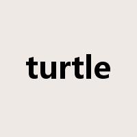 turtle是什么意思