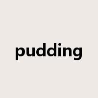 pudding是什么意思