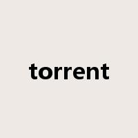 torrent是什么意思