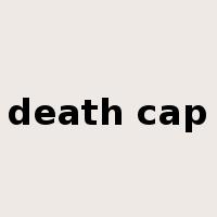 death cap是什么意思