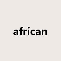 african是什么意思