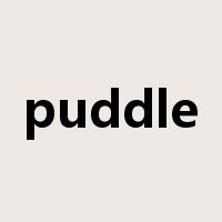 puddle是什么意思