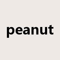 peanut是什么意思