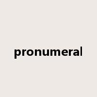 pronumeral是什么意思