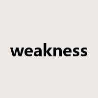 weakness是什么意思