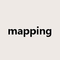 mapping是什么意思