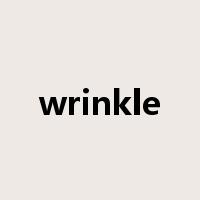 wrinkle是什么意思