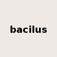 bacilus是什么意思