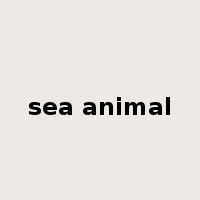 sea animal是什么意思