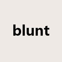 blunt是什么意思