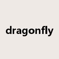 dragonfly是什么意思