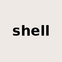 shell是什么意思