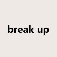 break up是什么意思