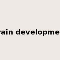 brain development是什么意思