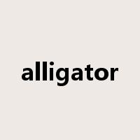 alligator是什么意思