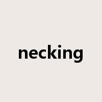 necking是什么意思