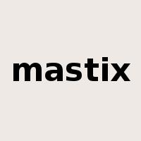 mastix是什么意思