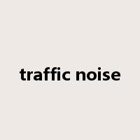 traffic noise是什么意思