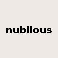 nubilous是什么意思